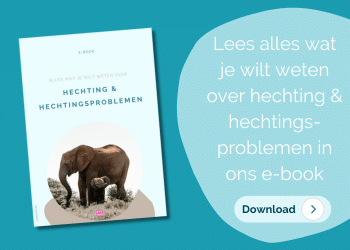 Hechting e-book