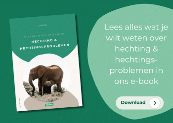 E-book hechting