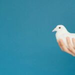 Intergenerationeel trauma: hoe trauma doorgegeven wordt van generatie op generatie
